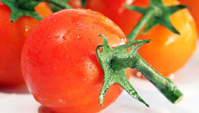 ip攻击器网页版